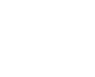 dsm_abs.plan_group5_item4_text